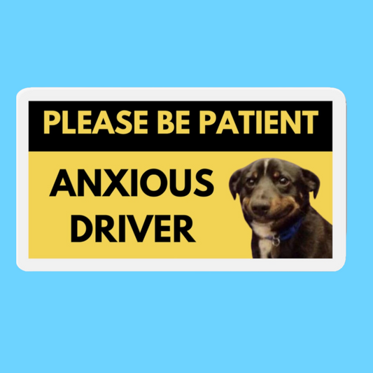 "Please Be Patient, Anxious Driver" Die-Cut Car Magnets